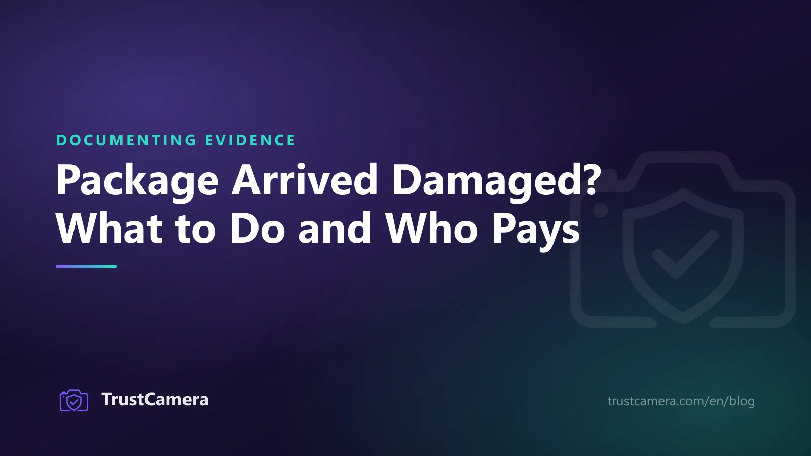 Cover image: package arrived damaged, what to do and who pays for the damage